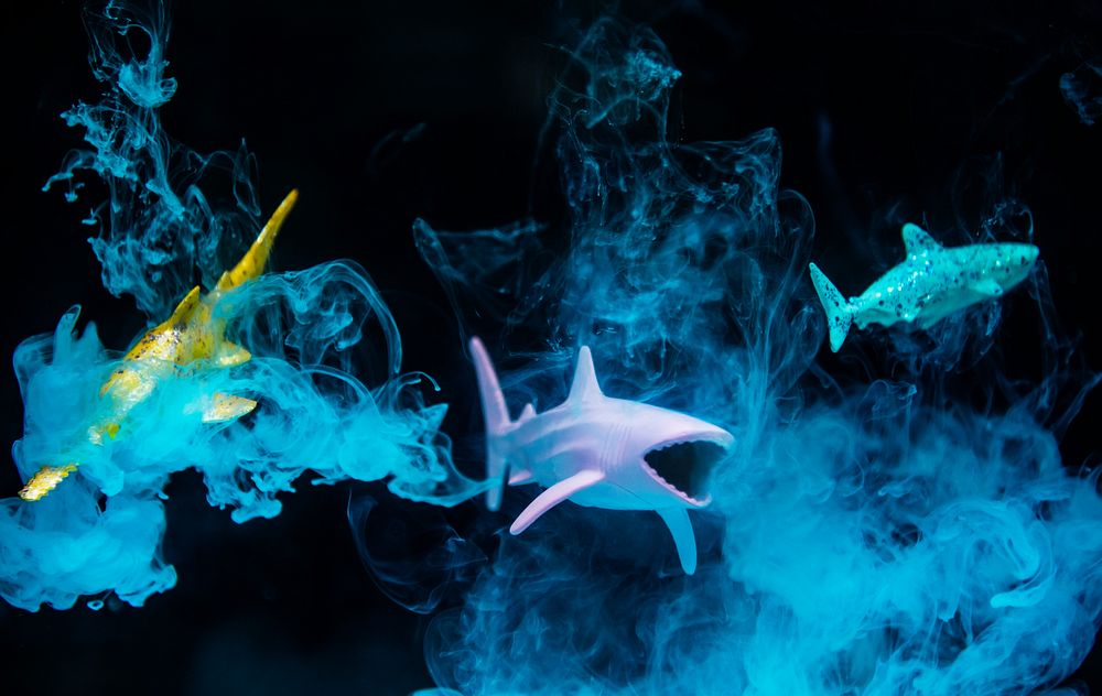 Shark figures in water with negative effect