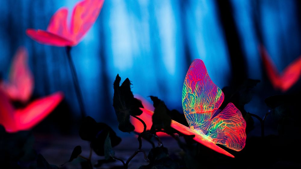 Glowing butterfly desktop wallpaper background, HD aesthetic nature photo