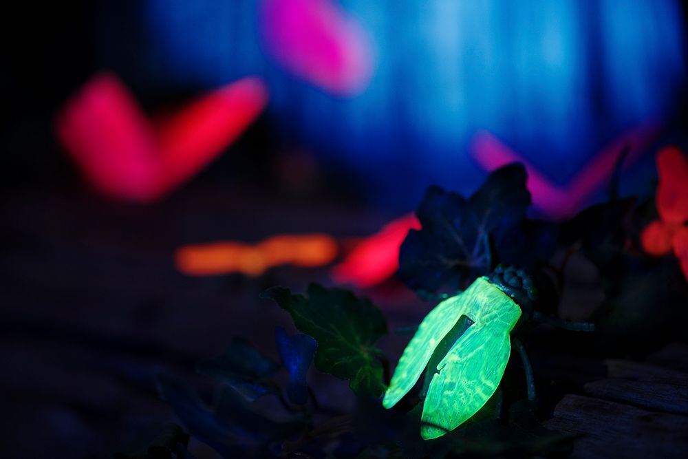 Glowing insects in the night forest