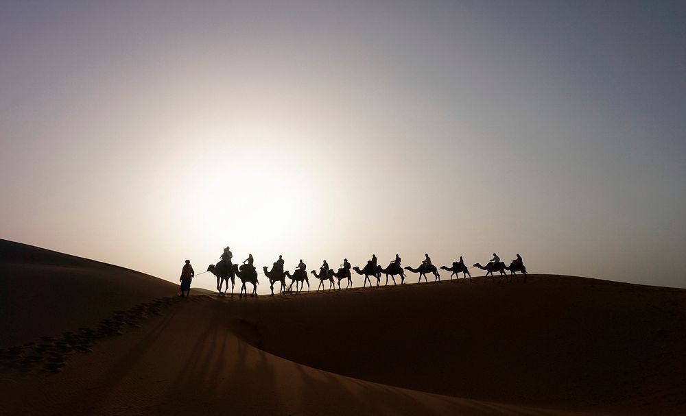 Camel caravan on the dune of Erg Chebbi at Morocco