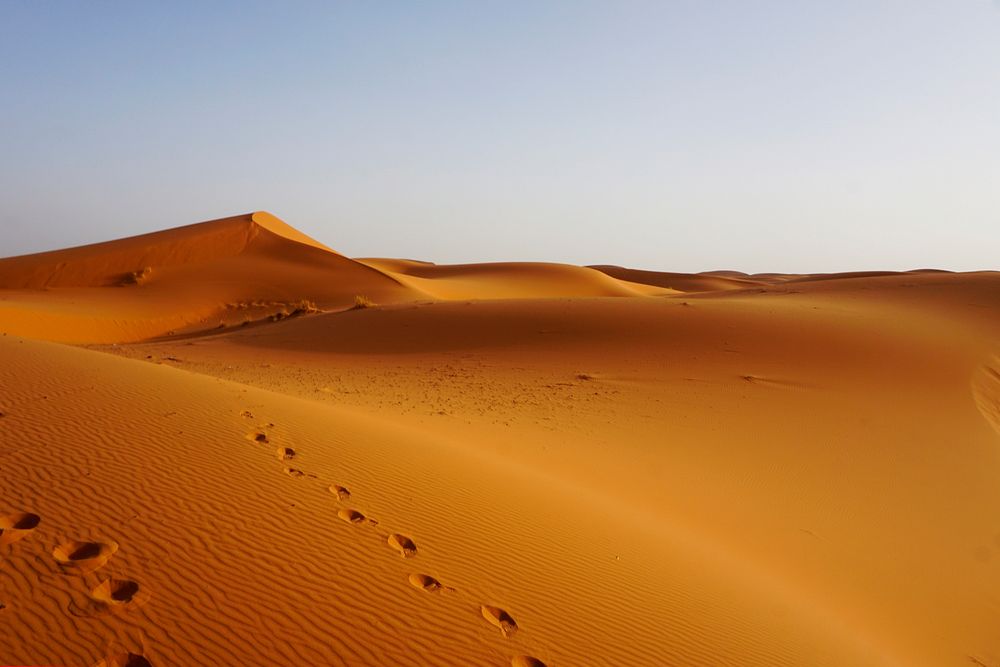 dunes Erg Chebbi, Morocco | Free Photo - rawpixel