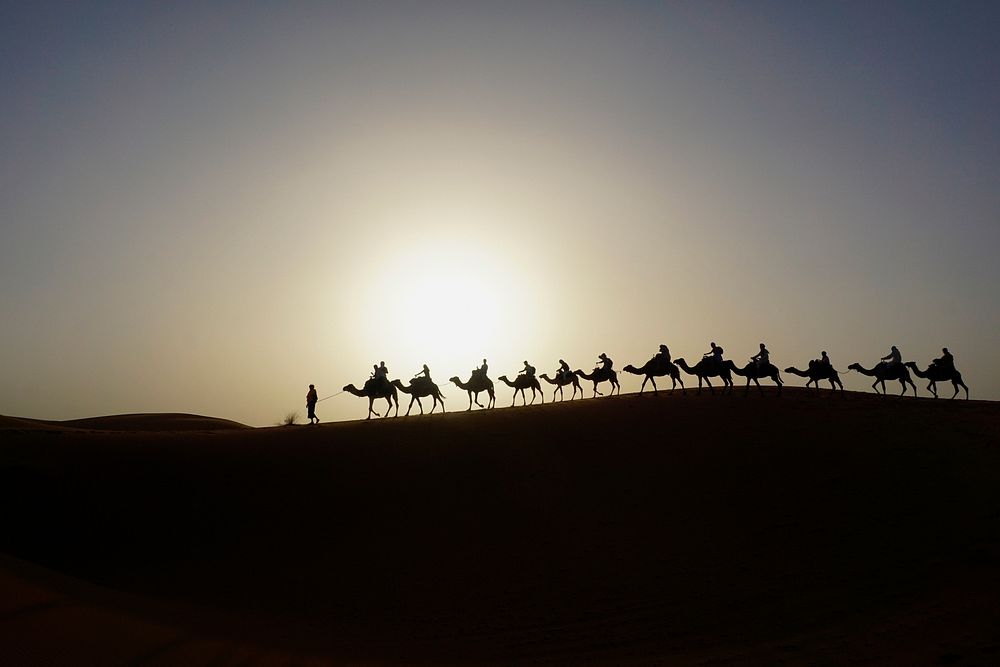 Camel caravan on the dune of Erg Chebbi at Morocco