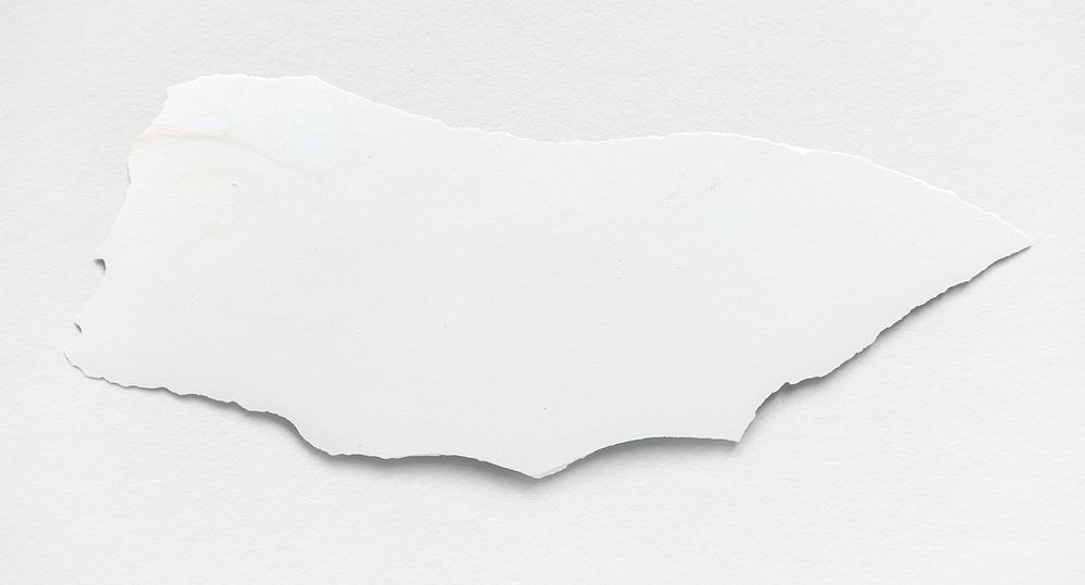 Plain white color texture  template