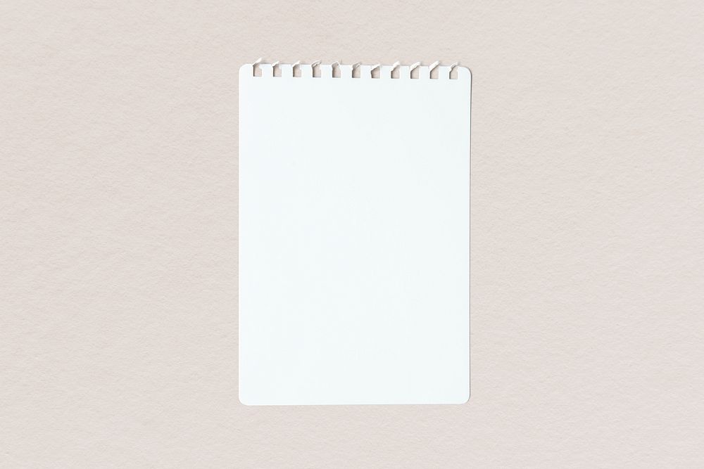 Blank plain torn white paper template