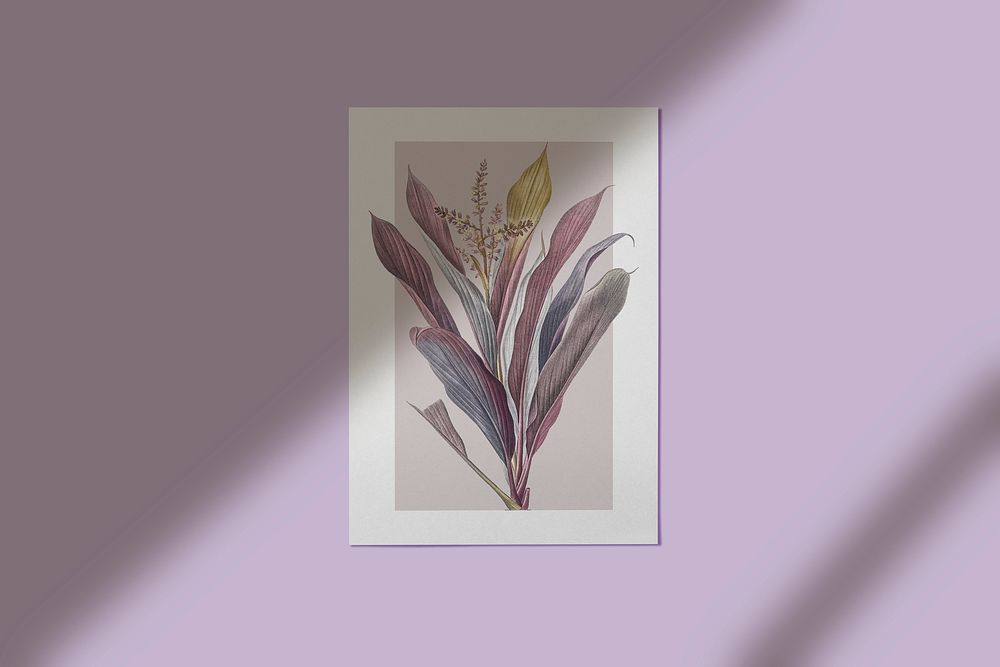 Painted flower in a frame on the wall psd