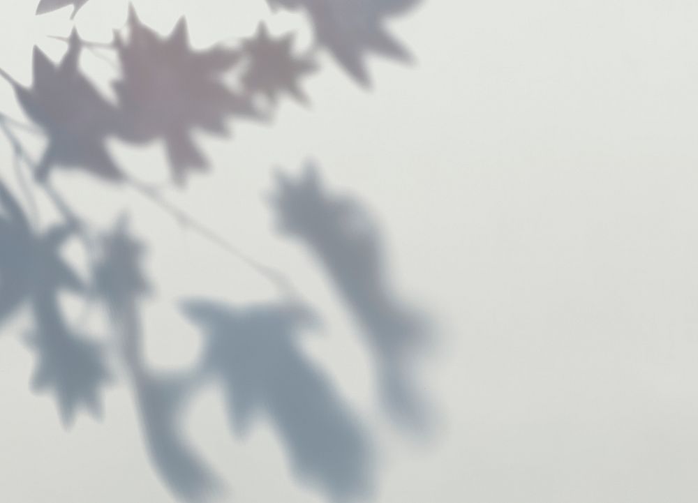 Shadow of Maple leaves on a wall psd