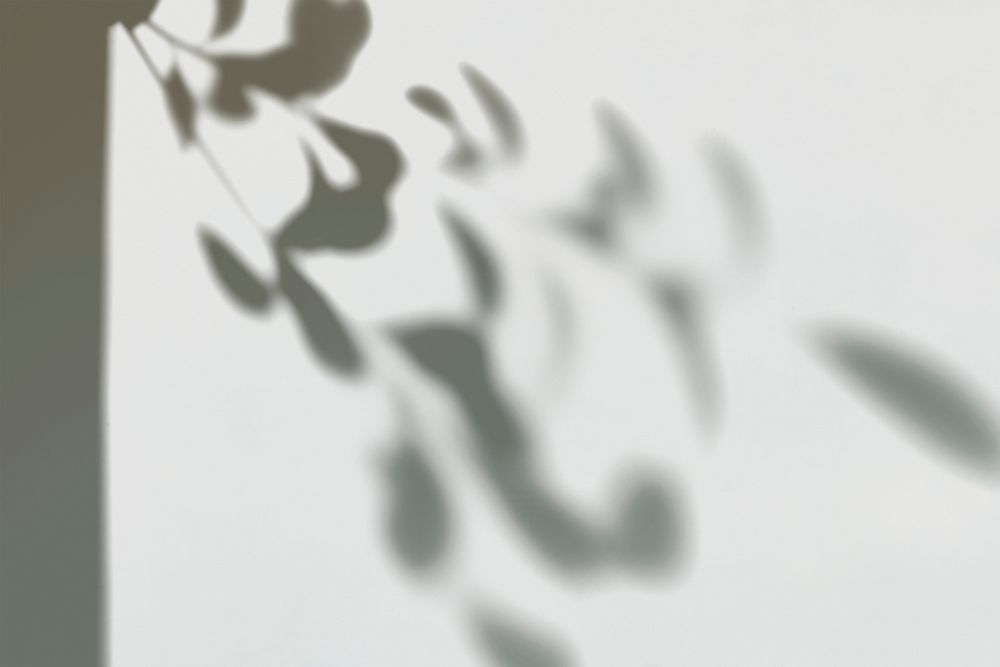 Shadow of leaves on a wall psd