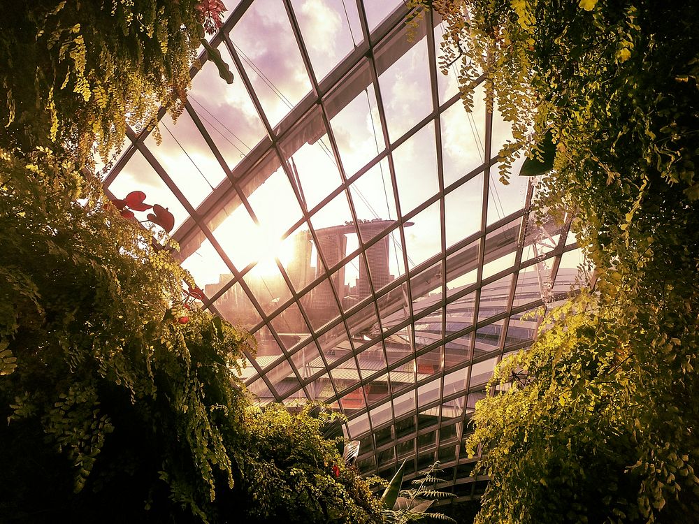 Greenhouse with sunlight shining through the ceilings