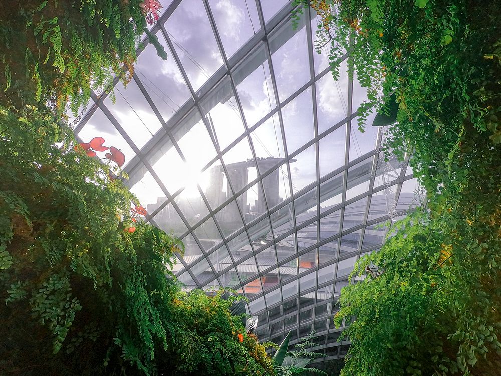Greenhouse with sunlight shining through the ceilings
