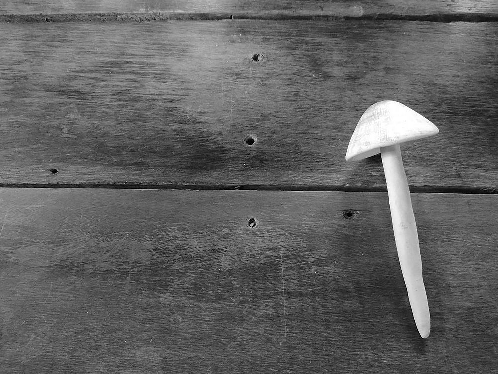 Mushroom on a rustic wooden table