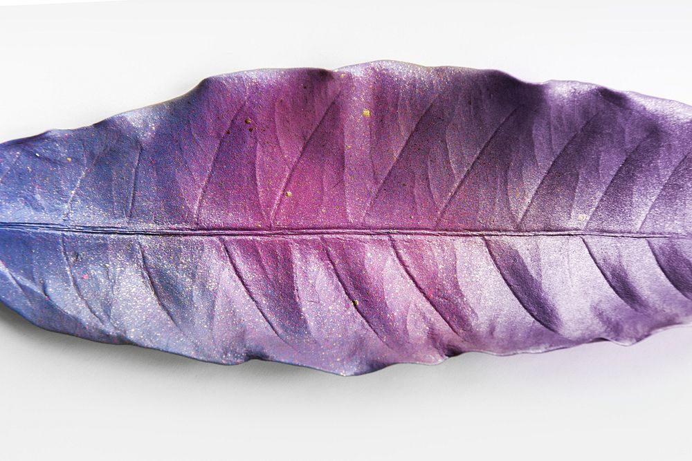 Leaf painted in magenta and indigo on an off white background