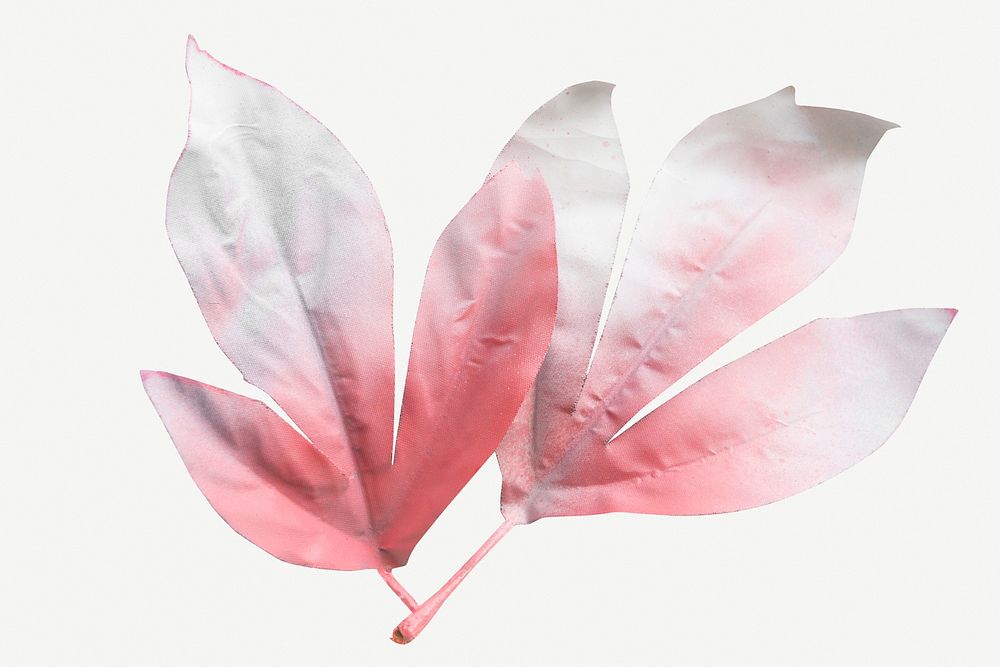 Pink Maple leaves isolated on background mockup