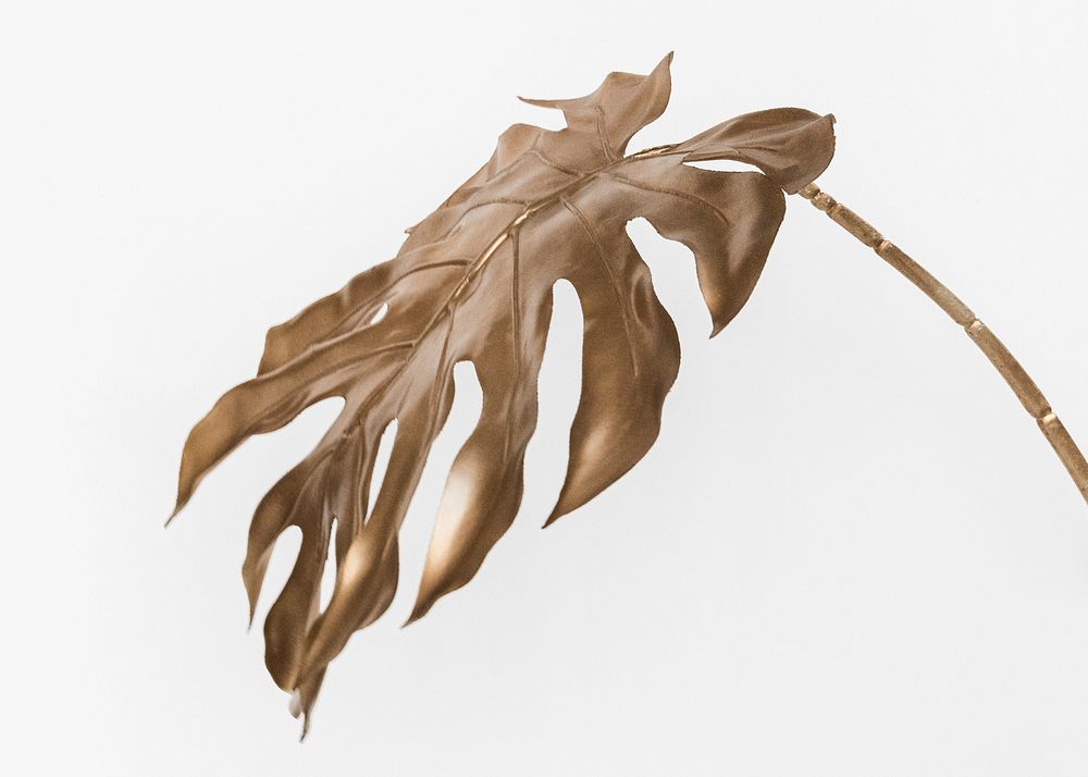 Golden monstera leaf on a white background mockup