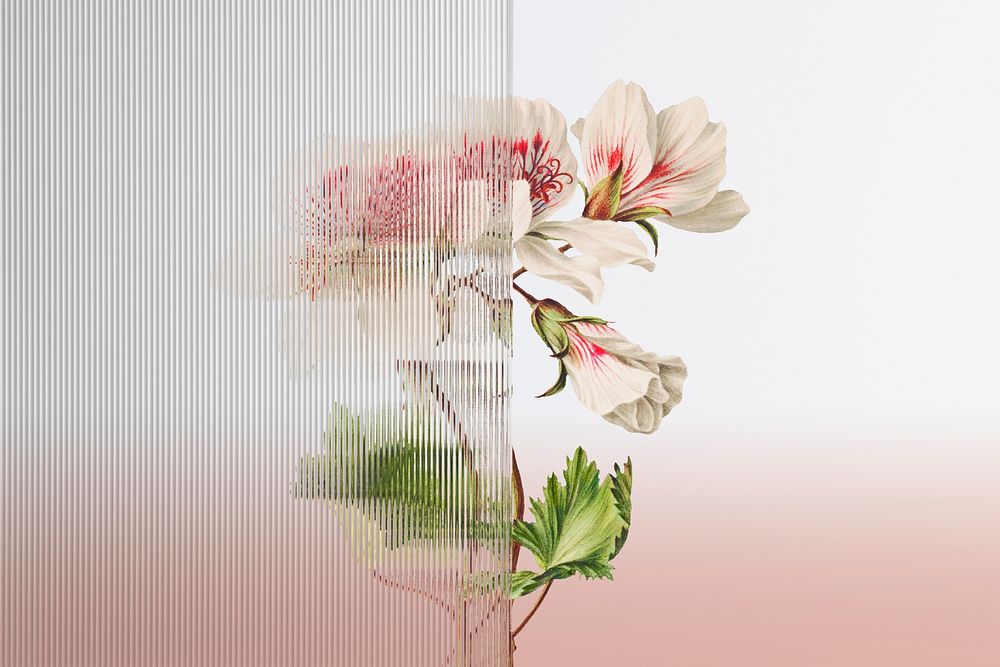 Nature background psd with flower behind patterned glass