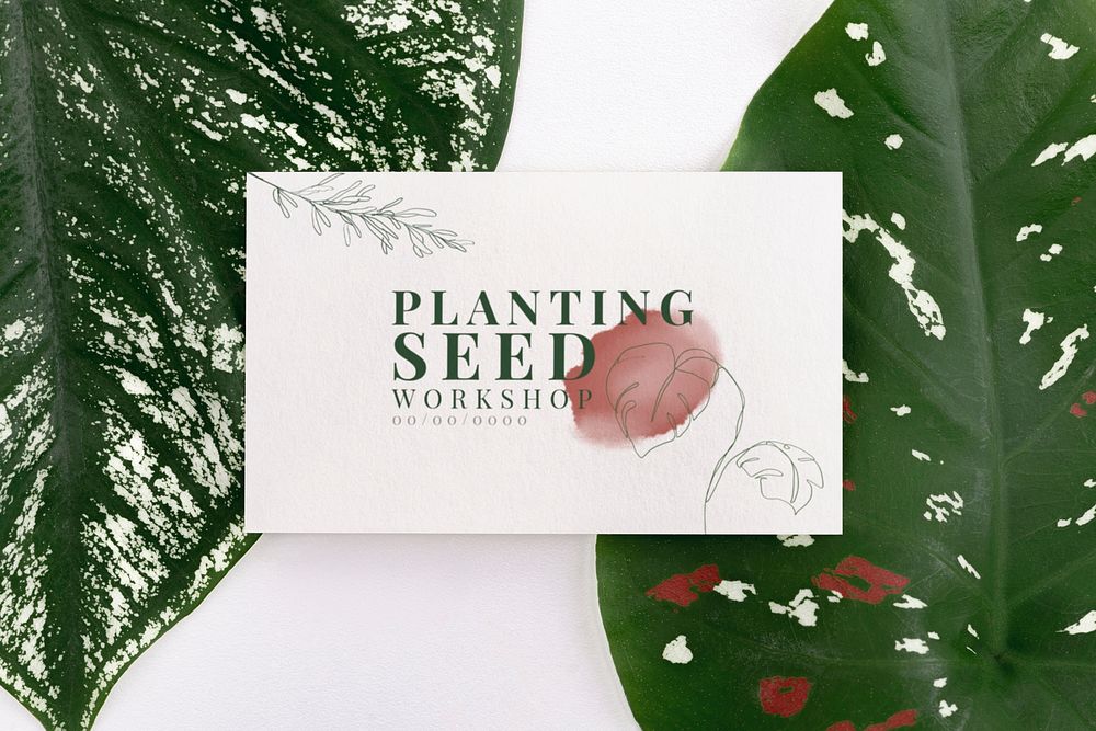 Name card mockup psd on green leaves