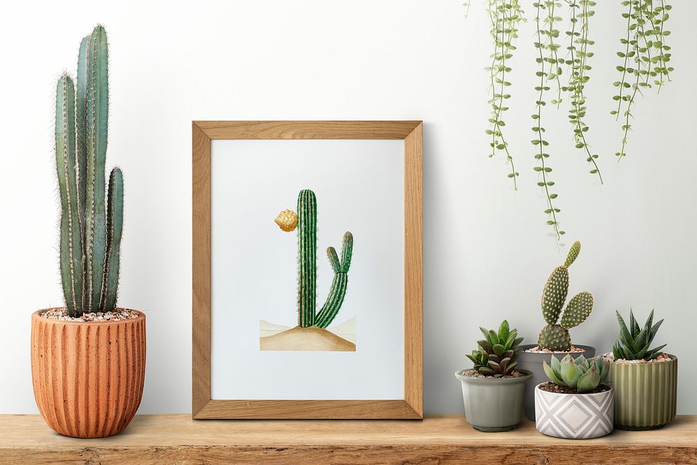 Wooden picture frame on a shelf with cactus