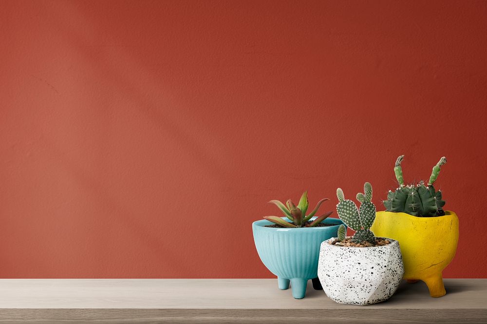 Wall mockup psd with cute cacti on a shelf