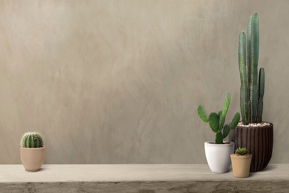 Wall mockup psd with cactus on a shelf