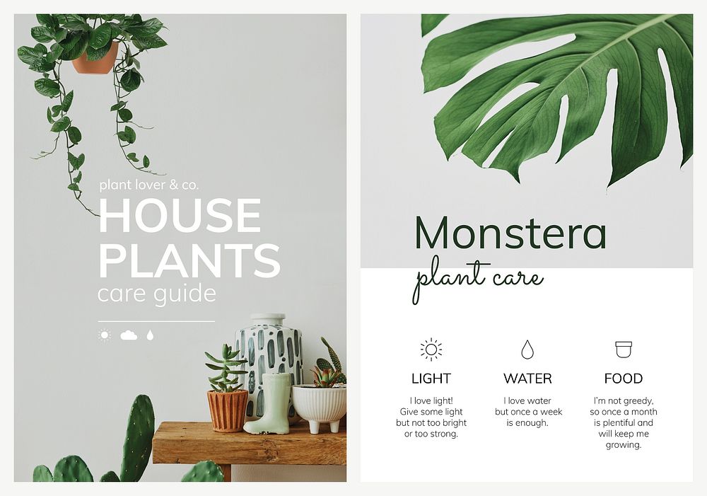 Houseplant poster template vector set for indoor gardening