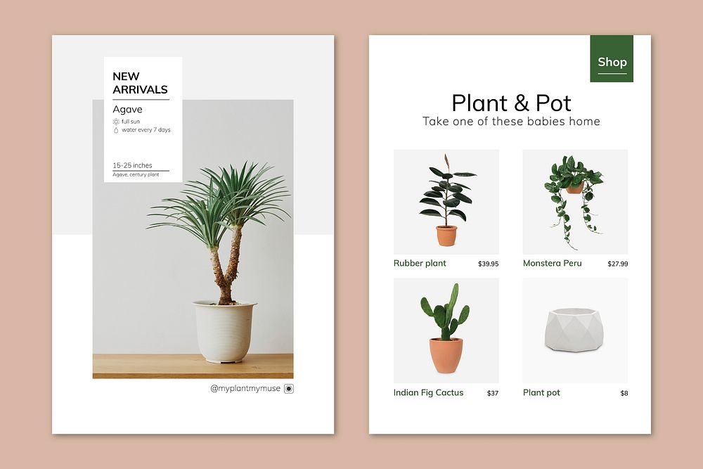 Houseplant poster template psd set for indoor gardening