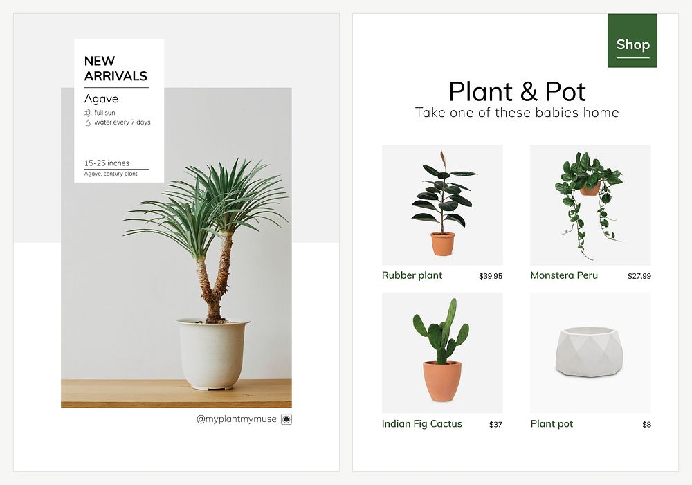 Houseplant poster template psd set for indoor gardening