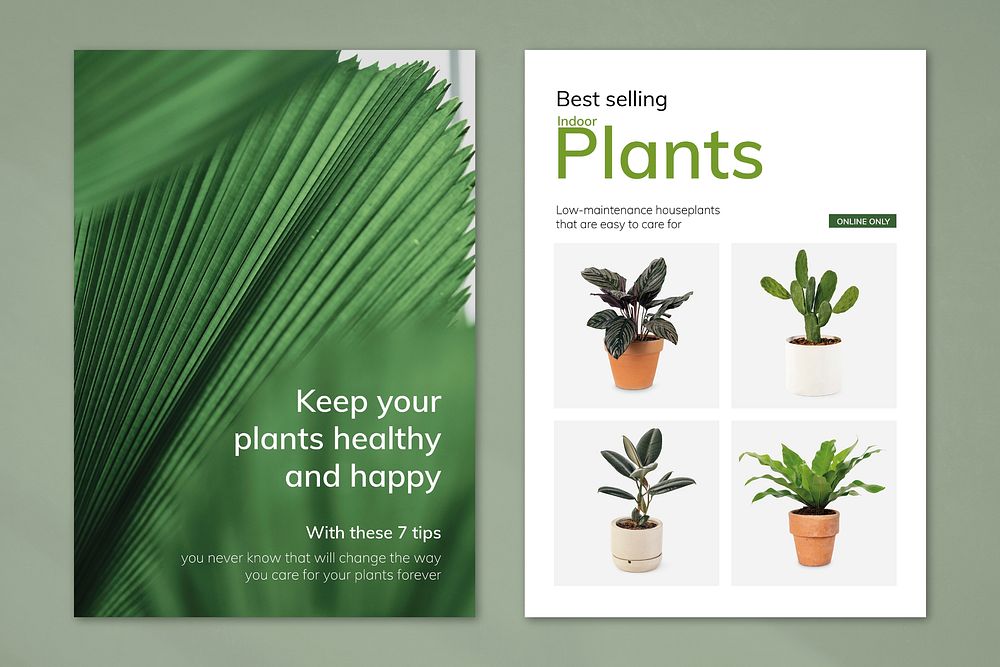 Plant shop template psd with houseplants