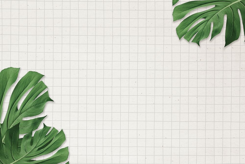 Monstera leaf frame psd grid paper background