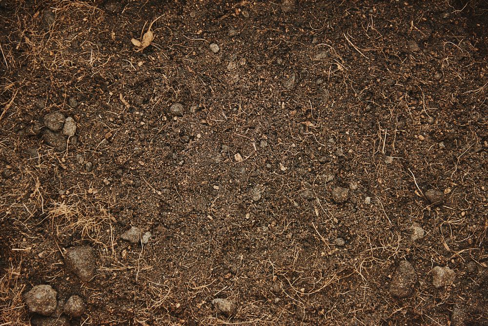 Brown soil background for gardening 