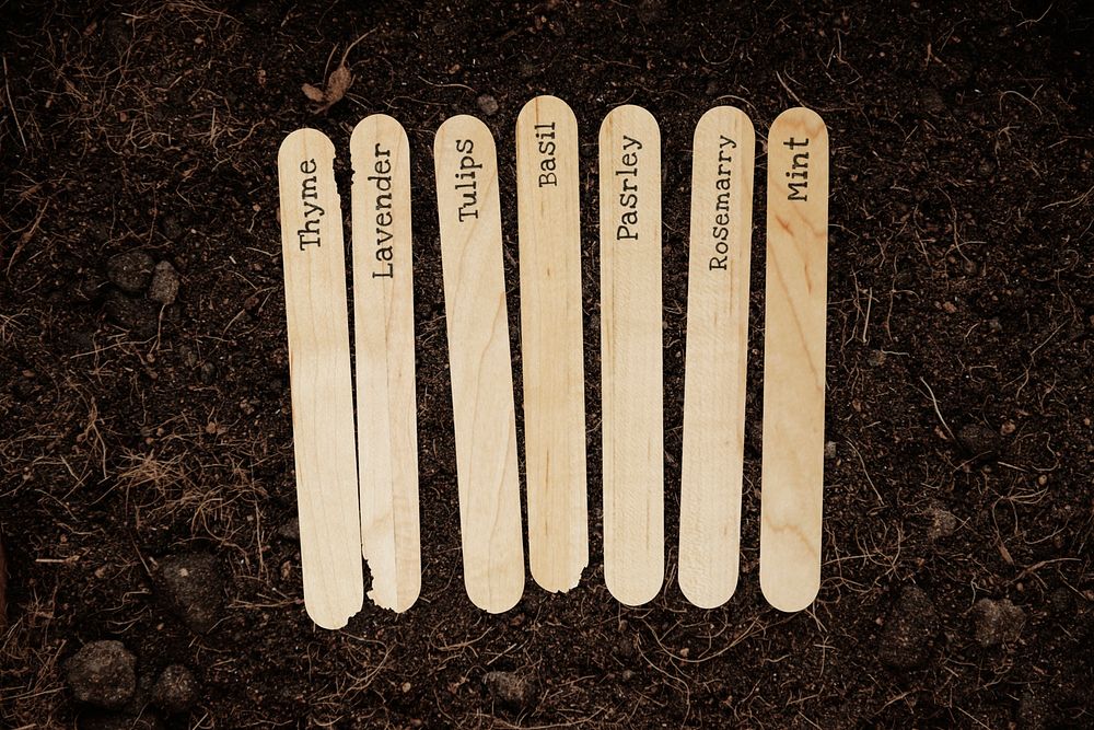 Popsicle garden markers psd mockup in soil