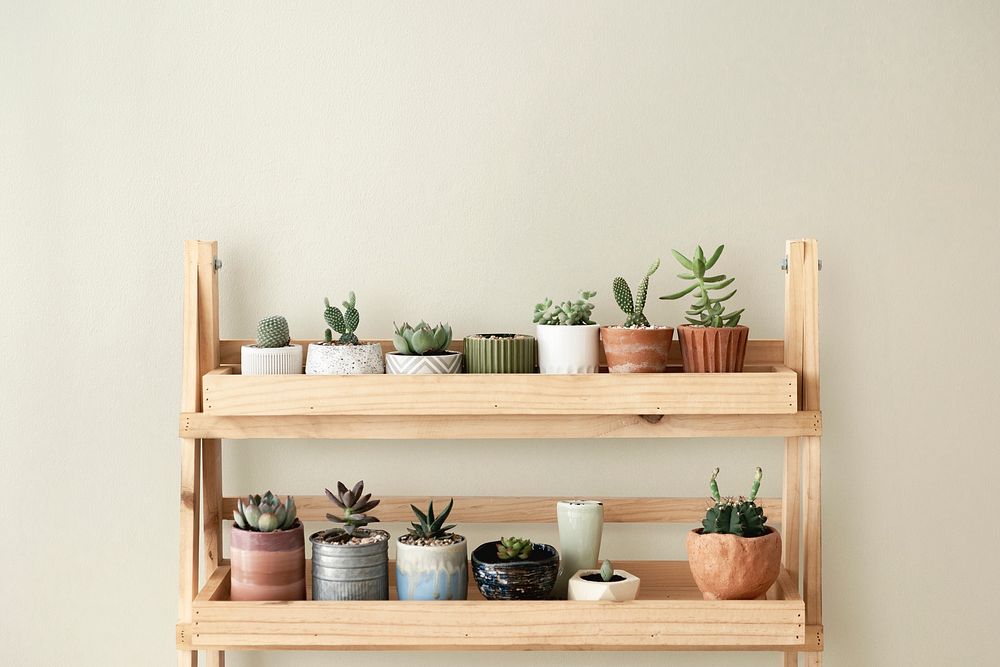 Wall mockup psd with plant shelf