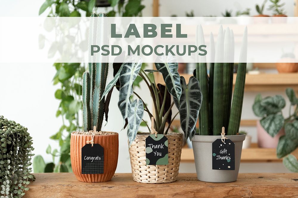 Label mockups psd on plants in a florist shop