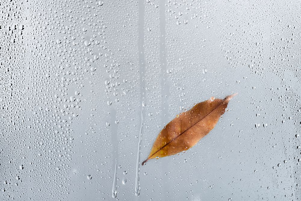 Water texture background, Autumn leaf on glass window