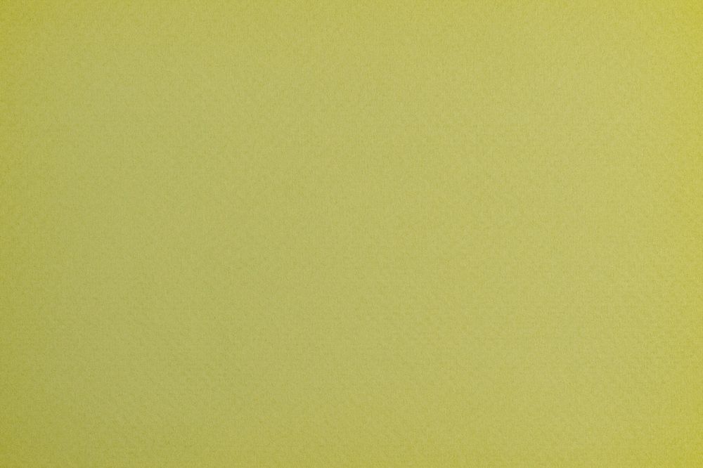 Avocado green paper texture background, copy space