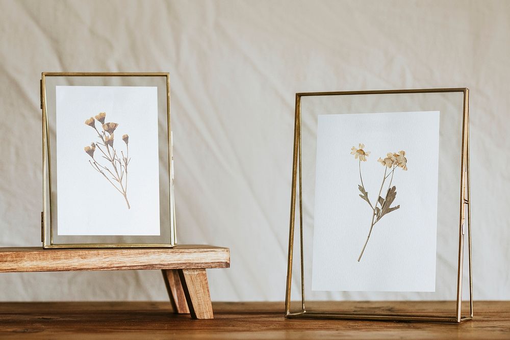 Pressed flowers in frames on shelf
