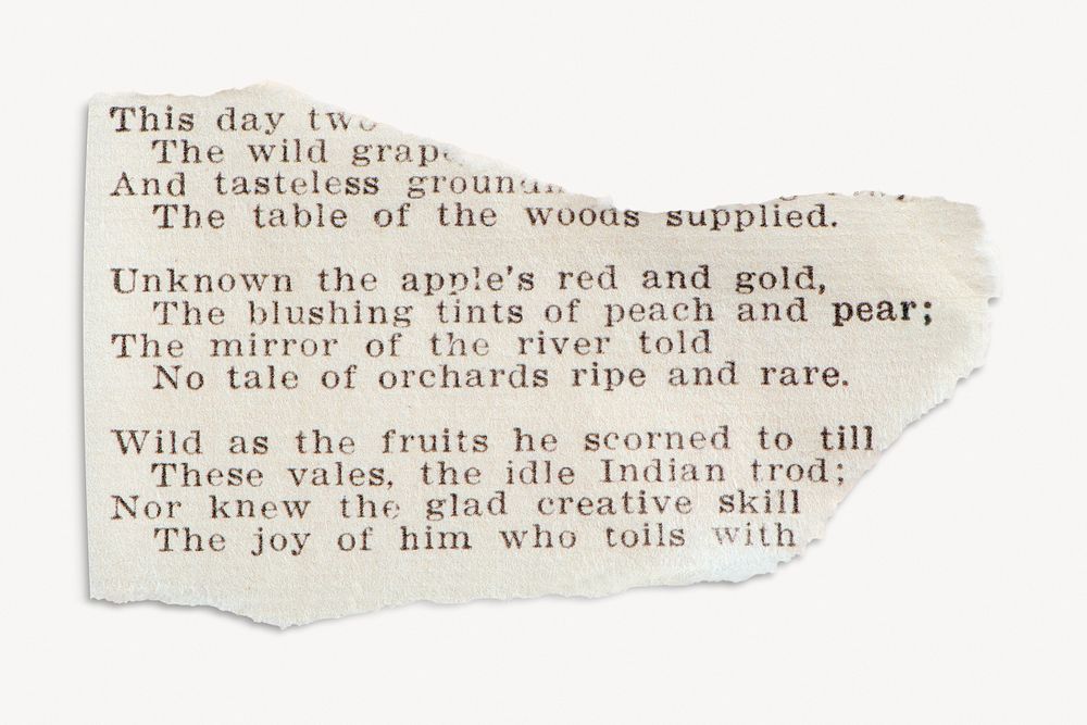 Torn book page vintage ephemera Free Photo rawpixel