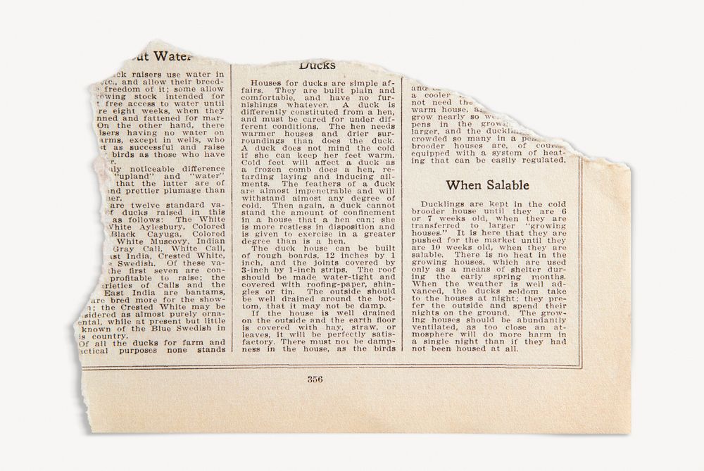 Torn book page vintage ephemera paper