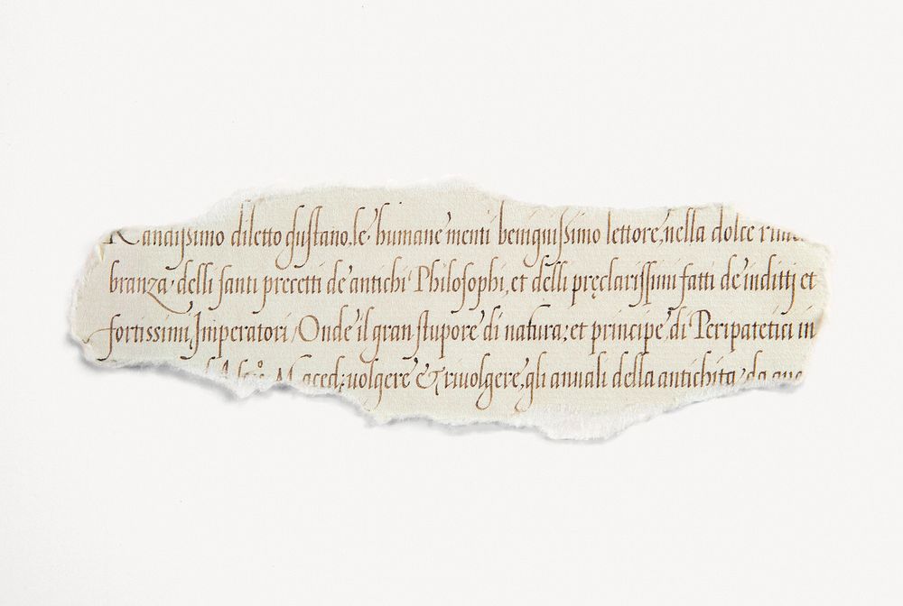 Antique paper ephemera collage element vector