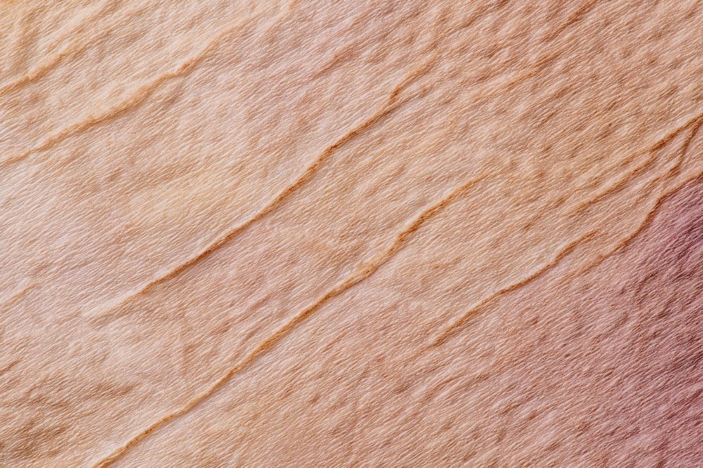 Brown glued paper texture background