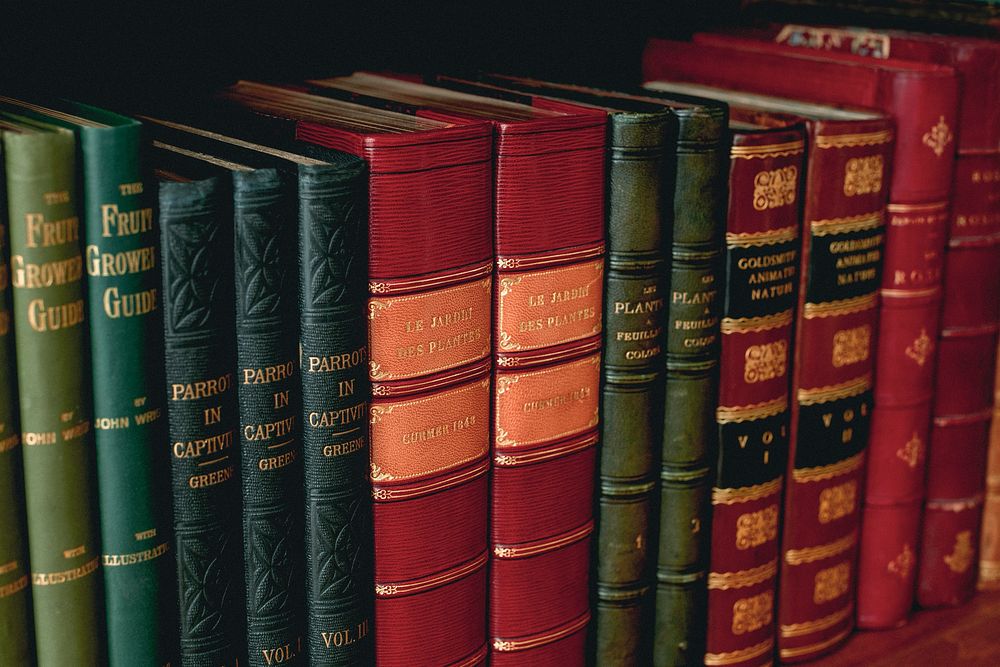 Antique books, from our own original public domain library collection.