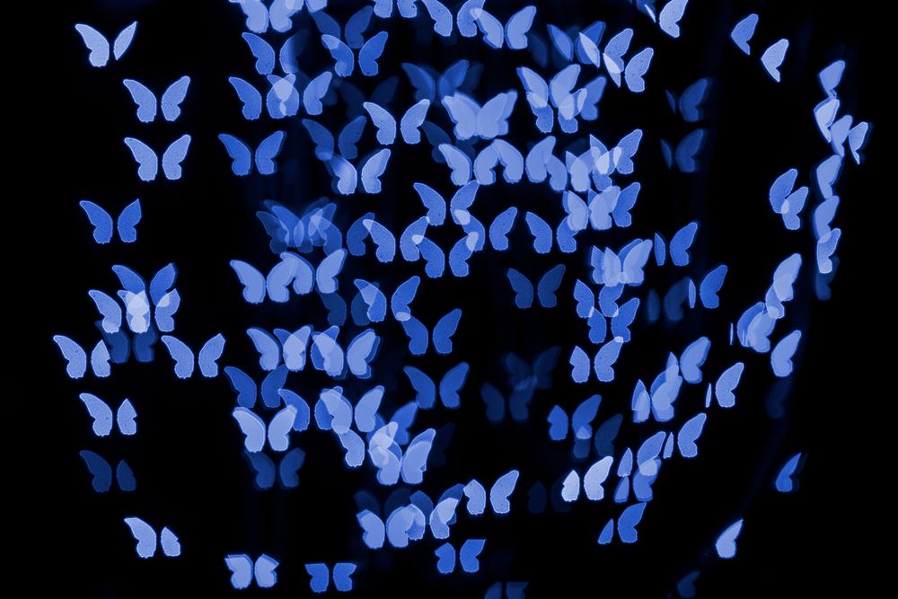 Blue glitter butterfly bokeh sequin confetti on black background