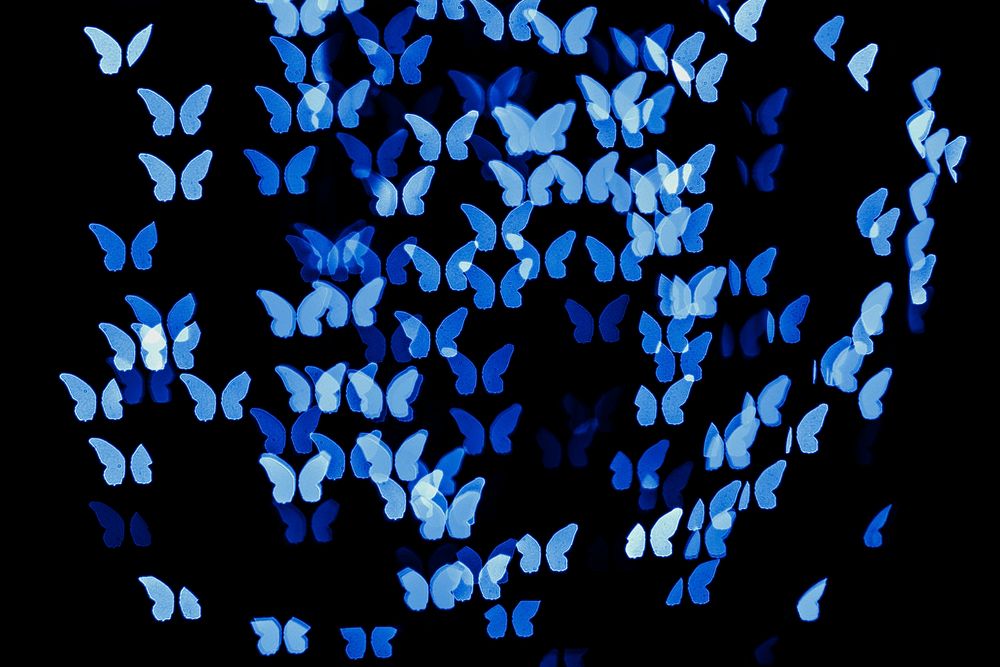 Blue butterfly bokeh background psd