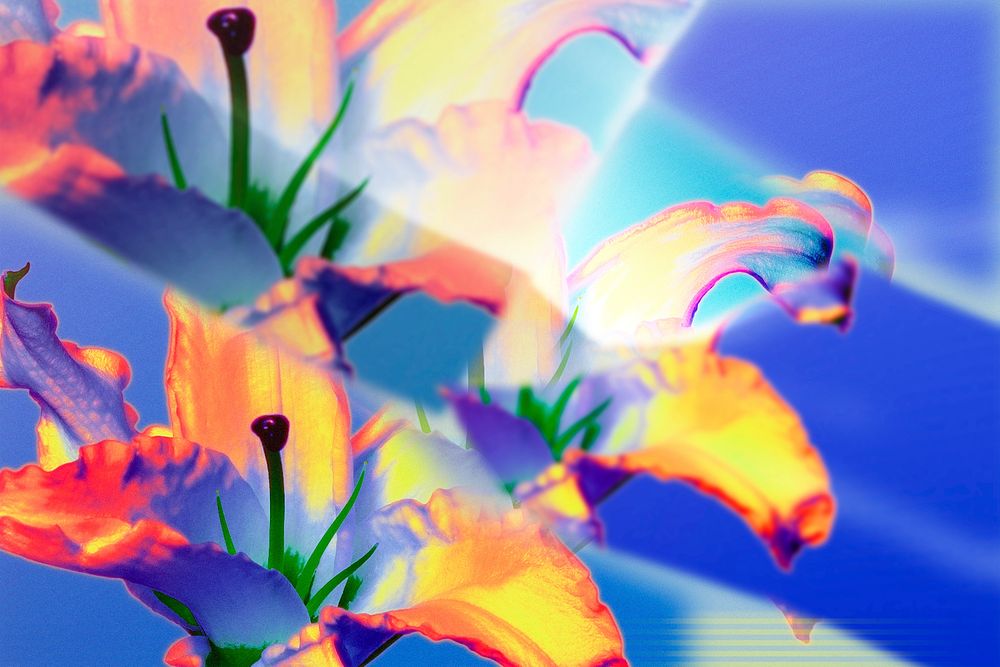 Lily flower background, design space