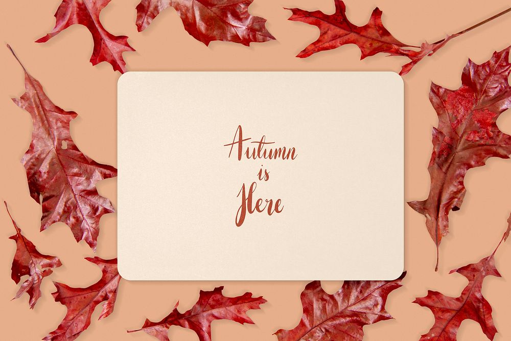 Beige card mockup, autumn red leaf frame flat lay design psd