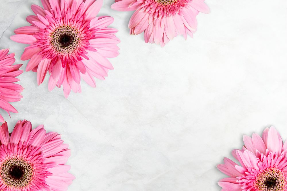 Pink daisies border, crumpled paper background, design space