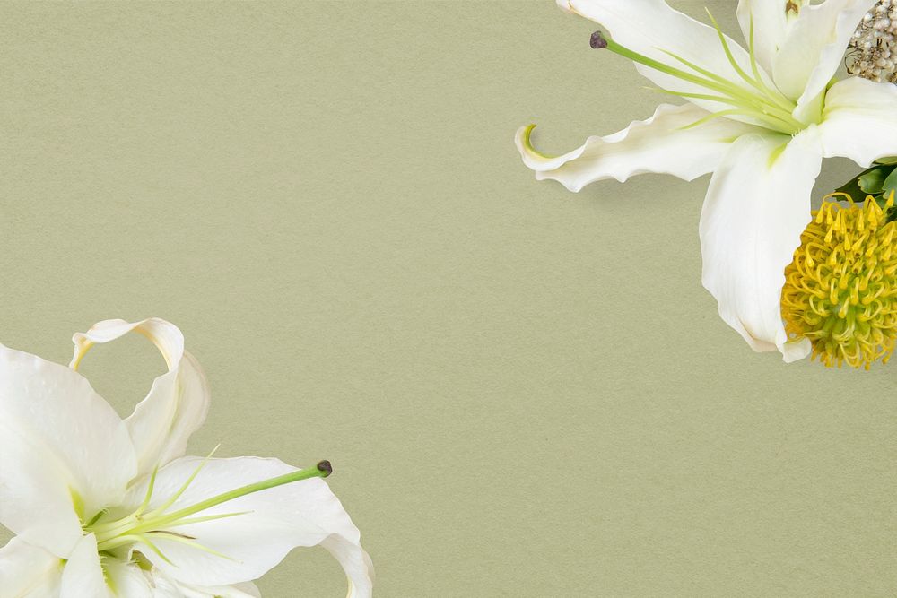 White lily border, green background, design space psd