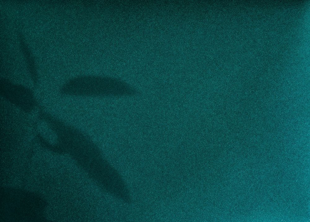 Shadow of leaves on a green wall