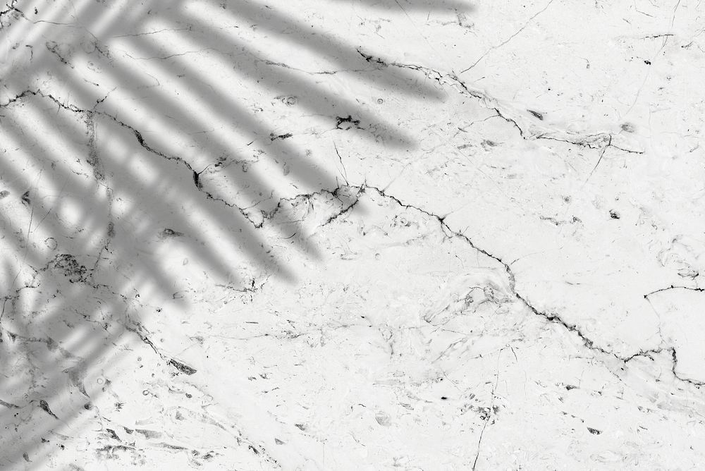 Shadow of palm leaves on marble background