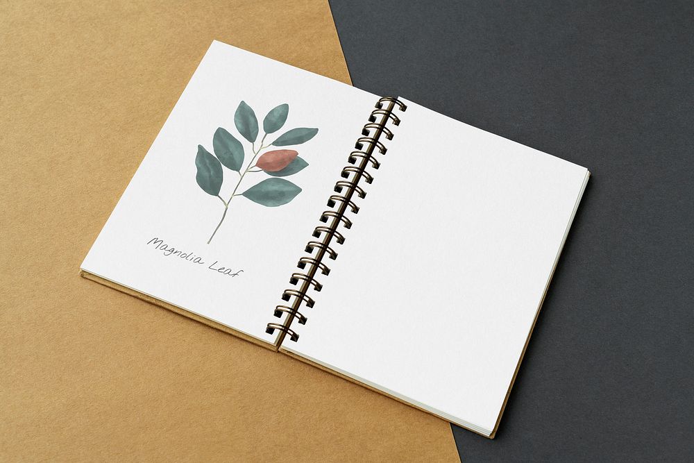 Magnolia leaf on a notebook mockup