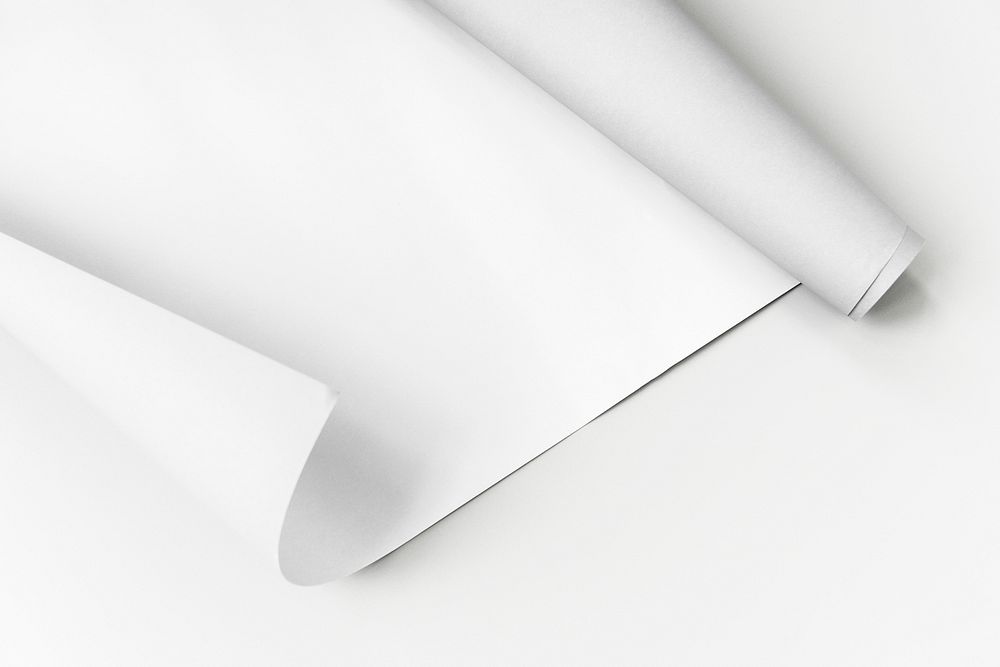 Blank white rolled chart paper on a gray background