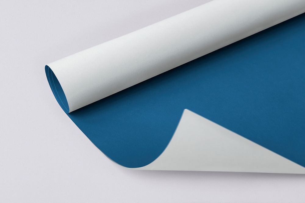 Blank blue  and white rolled chart paper mockup on a gray background